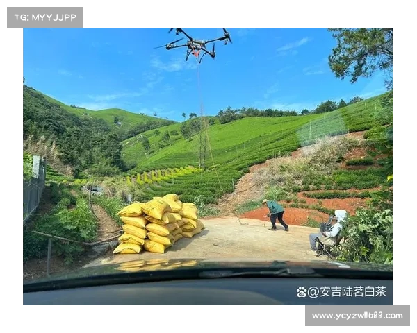 大漠深处公路人以热情点燃激情共同书写不平凡的奋斗篇章 大漠深处公路人以热情点燃激情共同书写不平凡的奋斗篇章